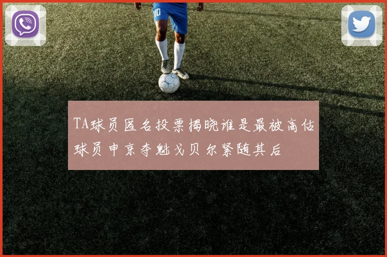 TA球员匿名投票揭晓谁是最被高估球员申京夺魁戈贝尔紧随其后